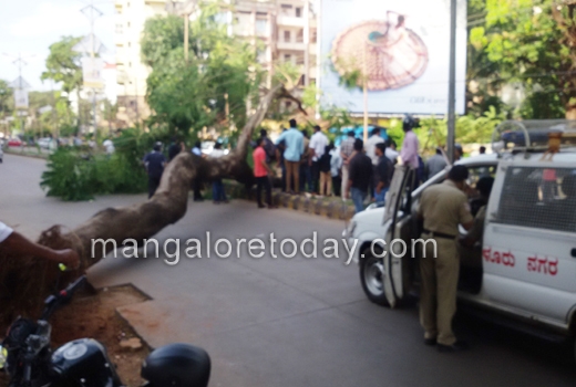 Tree falls on road near pandeshwar